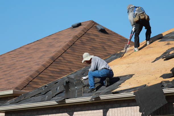 Best Hot Roofs  in Carlisle, KY